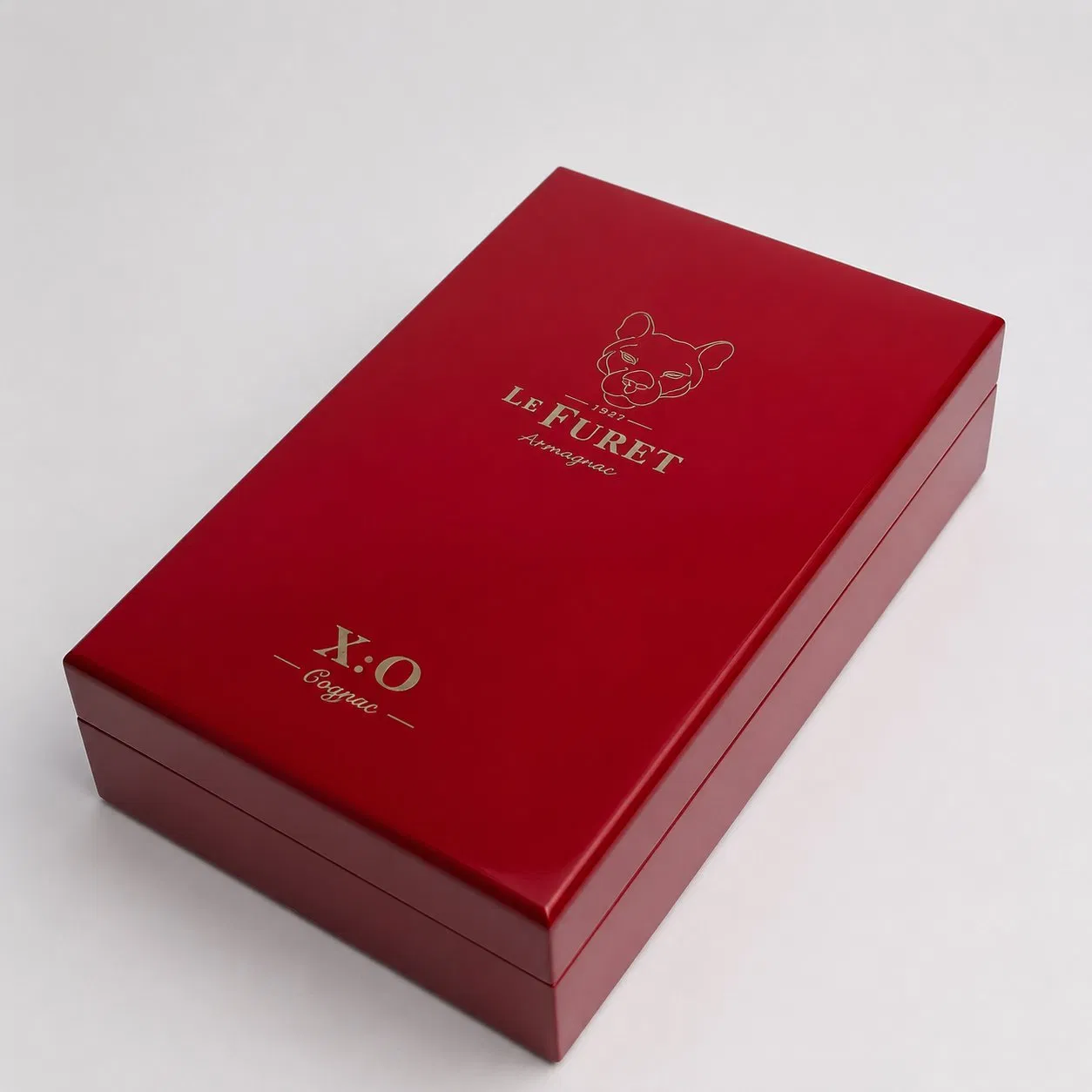 Luxury Perfume Organizer Box for Women, Elegant Fragrance Storage Case with Premium Gift Box Design