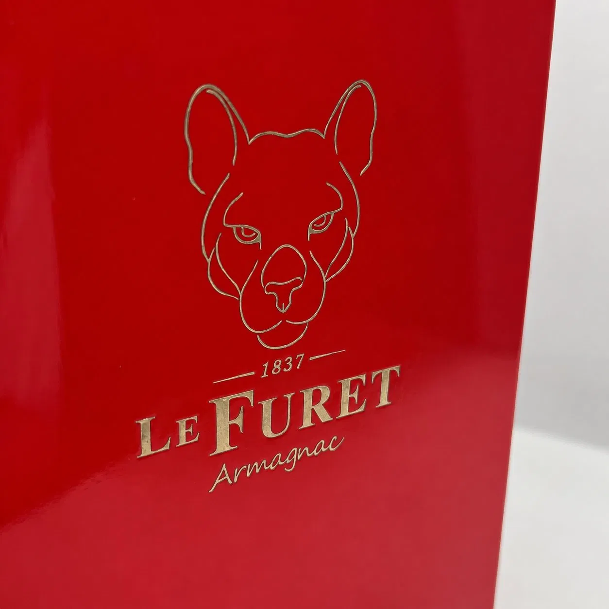 Luxury Perfume Organizer Box for Women, Elegant Fragrance Storage Case with Premium Gift Box Design